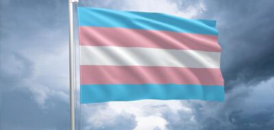 Trans Flag